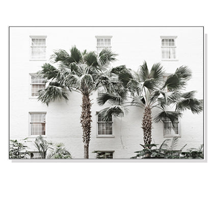 Wall Art 50cmx70cm Palm Tree White Frame Canvas